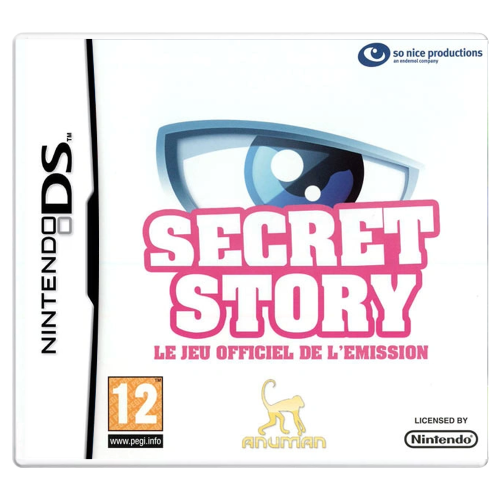 Secret Story Nintendo DS